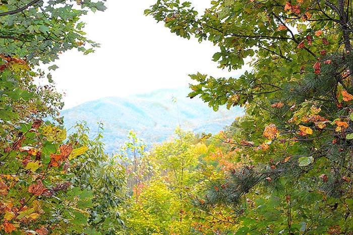 Lost In Love Gatlinburg Eksteriør bilde